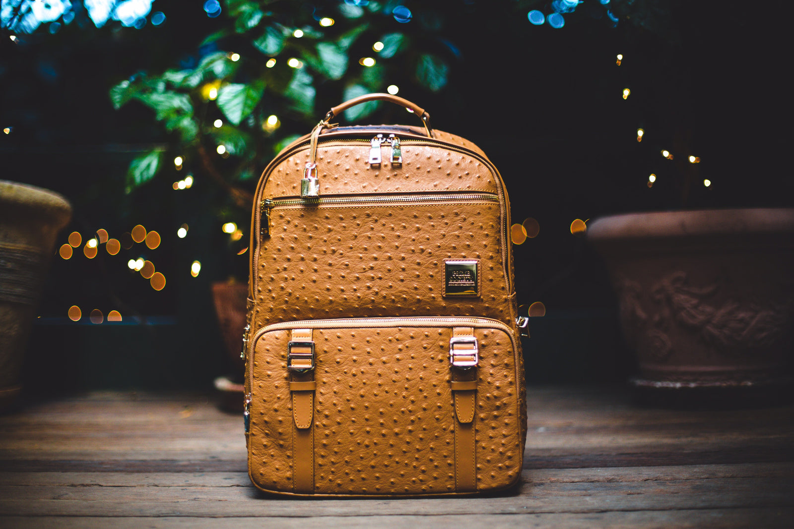 Crown Truffle Backpack